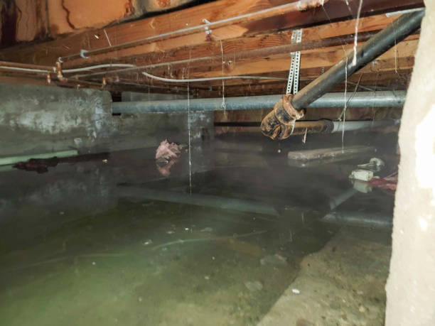 Best Commercial water damage restoration  in Lake Wilderness, VA