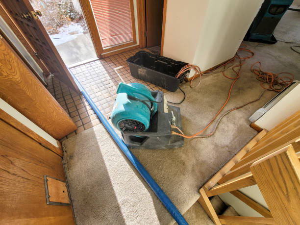 Best Water damage contractors near me  in Lake Wilderness, VA