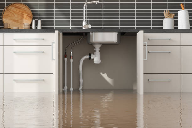 Best Water damage restoration near me  in Lake Wilderness, VA