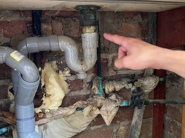 Best Water damage cleanup near me  in Lake Wilderness, VA