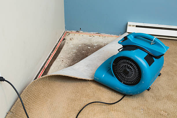 Best Sewage cleanup and water damage restoration  in Lake Wilderness, VA